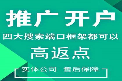 实战技巧：竞价推广案例解析与效果评估